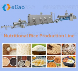 Nutritional Rice Production Line